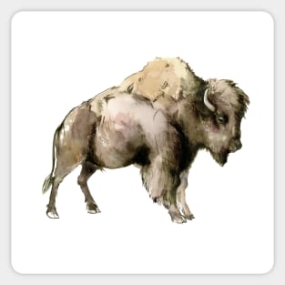 Bison Sticker